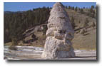 liberty cap