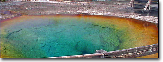 Morning Glory Pool -Yellowstone National Park