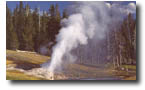 riverside geyser