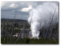 steamboat geyser