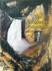 Yellowstone Park DVD