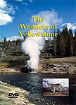 yellowstone dvd
