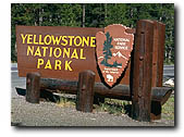 ynp sign